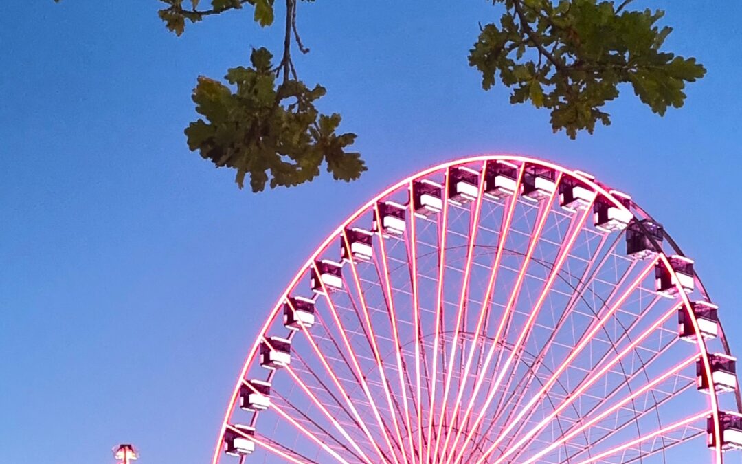Pützchens Markt 2025 mit Capybara